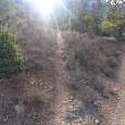 Tomamos este sendero que sube a la izquierda 
