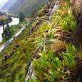 Views of the river Urubamba and the valle Sagrado 