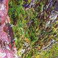 Rappel installation -end of the ferrata- 