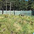 Tres osos pardos europeos en su recinto cerrado por altas paredes de hormigón 