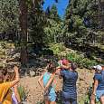 Fotografiando la colonia de las populares marmotas 