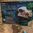 Cartel informativo de la Foca 