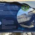 Cartel informativo de La Tortuga 