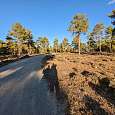 Camino llano en la ida al mirador de Uña 