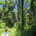 Camino de aproximación/regreso poco indicado pero se llega al río
 