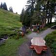 Stop number 8. Picnic area with firewood to have a barbecue 