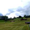Meadows and houses on our way down to Grindelwald 