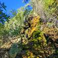 Detalle de la cascada repleta de musgo y vegetación 