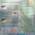 PR-CU 78 alternativa para el regreso o para ampliar la caminata hasta el mirador del Cuervo 