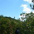 Hacia la torre vigía de los forestales 