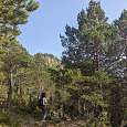 Camino marcado con hitos -poco señalizado pero no es perdedor- 
