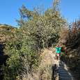 Pasarela de madera en el retorno 