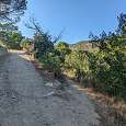 Al final de la primera subida podemos seguir de frente o tomar el sendero a la derecha -algo más directo- 