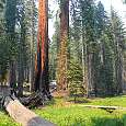 Cruzando el arroyo de Circle Meadow 
