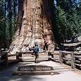 Al pie del General Sherman 