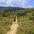 Seguimos el camino en ligera bajada 