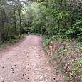 Pista de tierra con apenas desnivel que nos acerca al toll de l