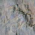 Pinturas rupestres 