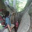 Podría ser un buen refugio 