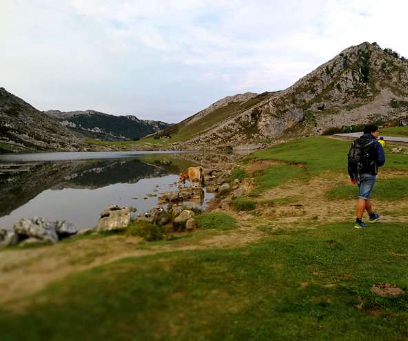 Circular de los lagos de Covadonga | PR-PNPE2