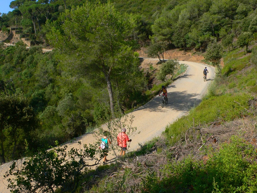 Ruta forestal: de Barcelona a Sant Cugat a pie