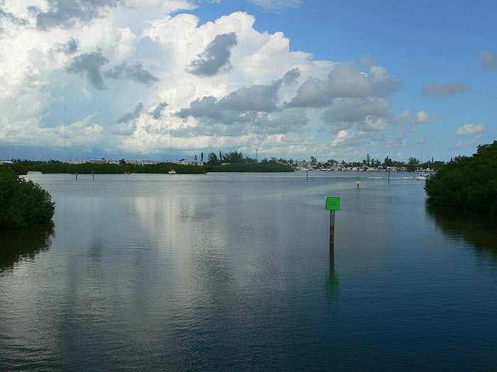 Manglares y Stock Island 