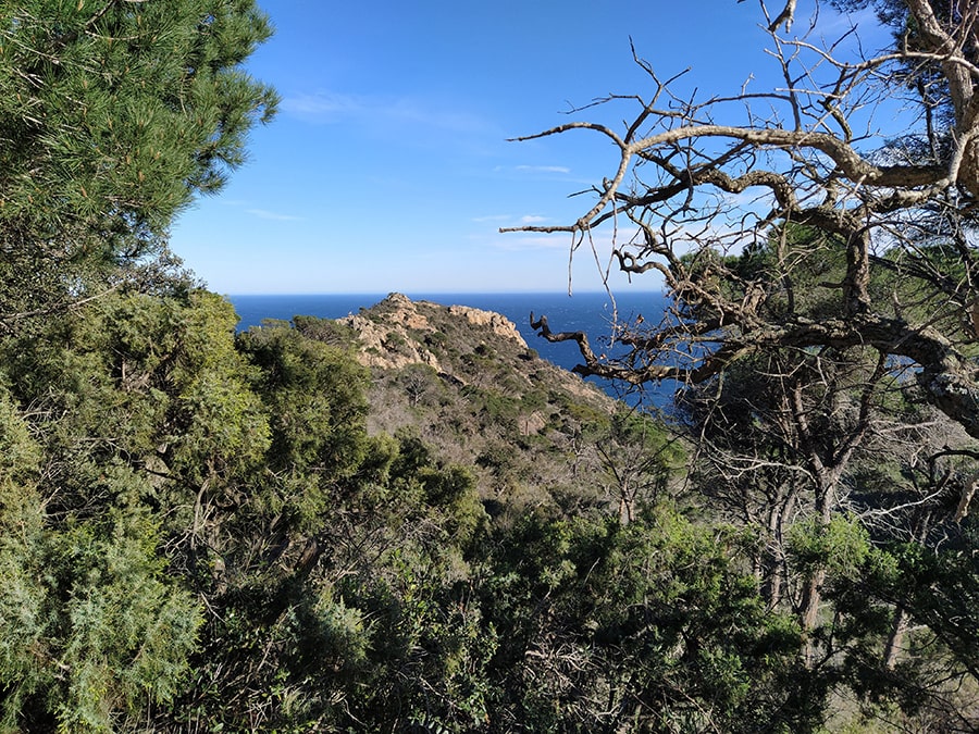 Serrat de Moltons con el Puig de l