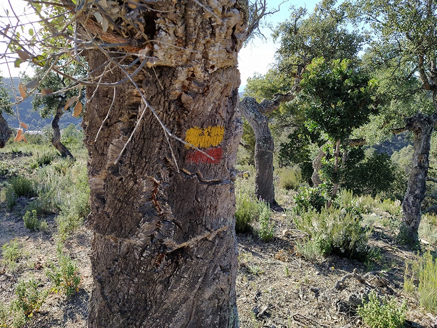 Indicadores rojo y amarillo de Sendero Local 