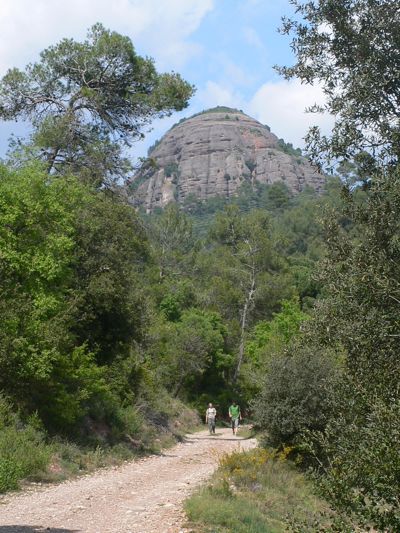 Vista del Castell de Bócs desde el Torrent de la Barbotera afluente de la riera de Rellinars 