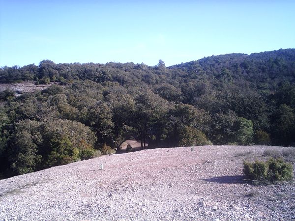 Afrontando la última subida conquistando el Montcau 