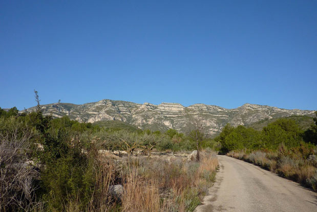 En coche de cara a la Serra del Montsià (© Miguel Valle) 