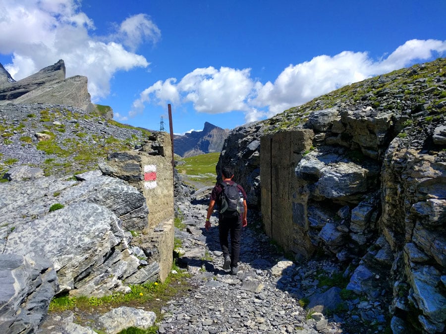 Cerca de Gemmipass y marcas de GR 