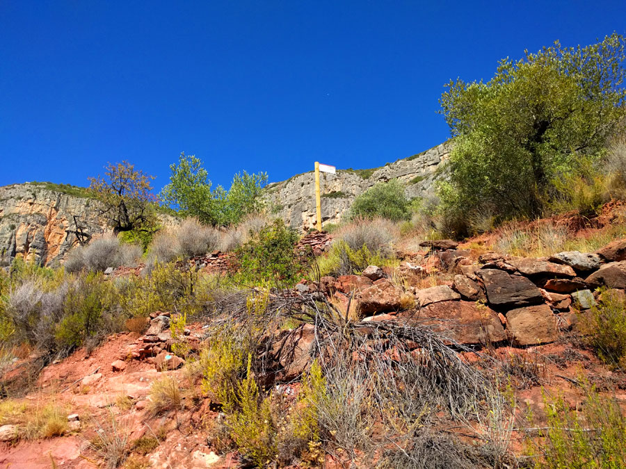 Indicador en los campos de olivos -itinerario 6 del Parque Natural del Montsant- 