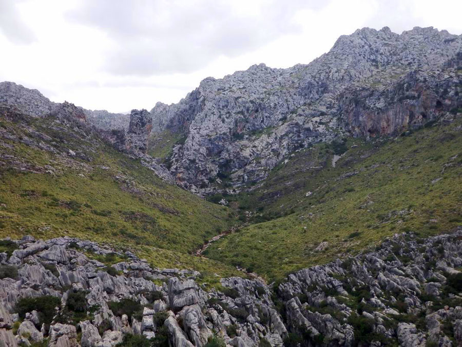 De pronto nos encontramos con el inicio del barranco 