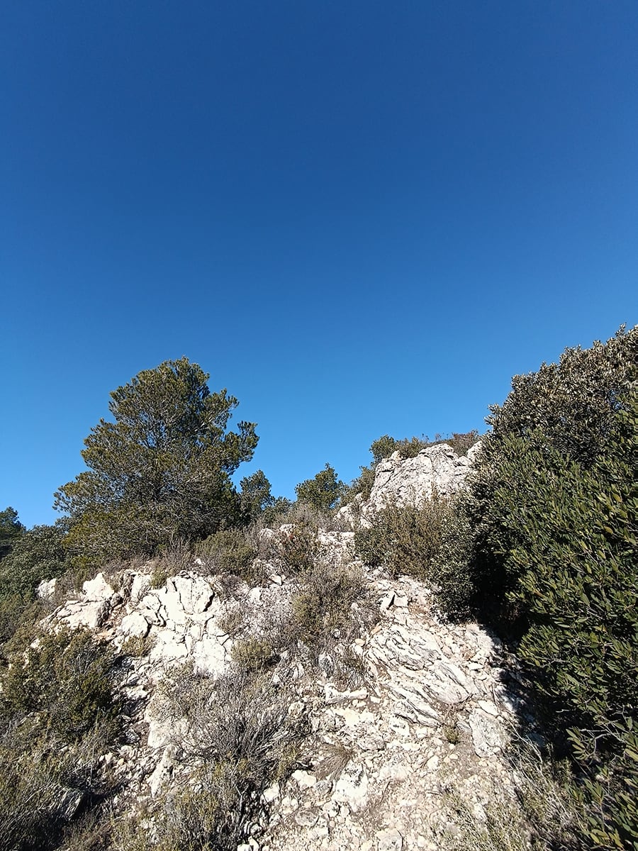 Sendero de salida 