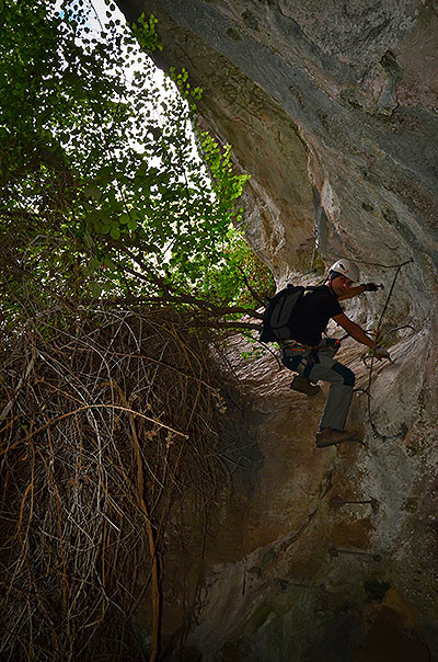 7 (© Oscar Daniel Quintela) 
