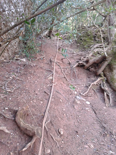 El tramo final. Aquí se ha de ir con cuidado porque aunque no tiene complicación el barro resbala muchísimo | © Juan 