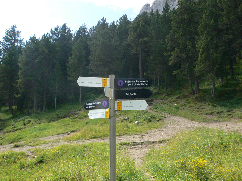 Seguimos el indicador 1 -Pujada al Pedraforca pel Coll de Verdet- 