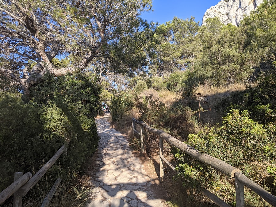El camino es estrecho va subiendo por el bosque en zigzags 