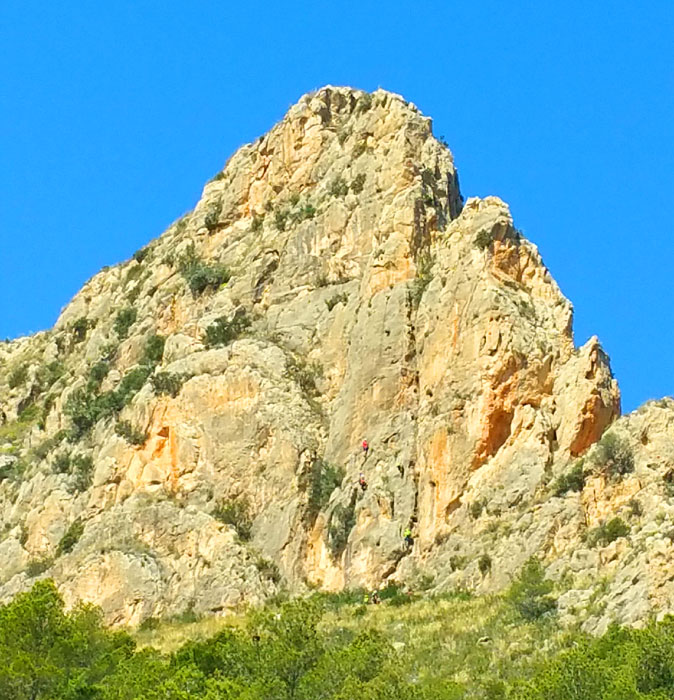 (® Club ToniBuencamino de Elche) 
