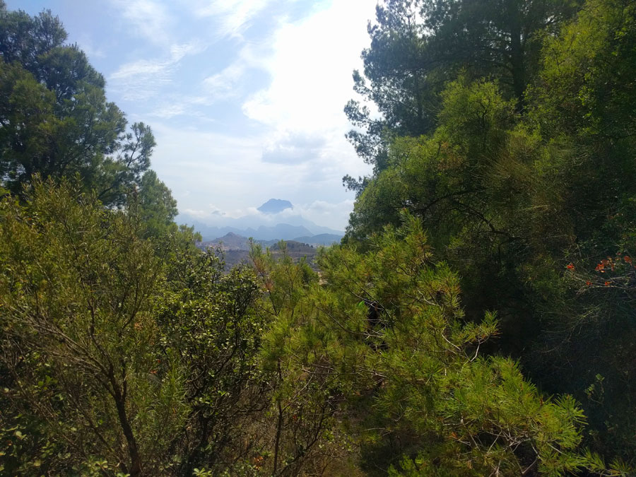 Vistas al Puig Campana desde el regreso 