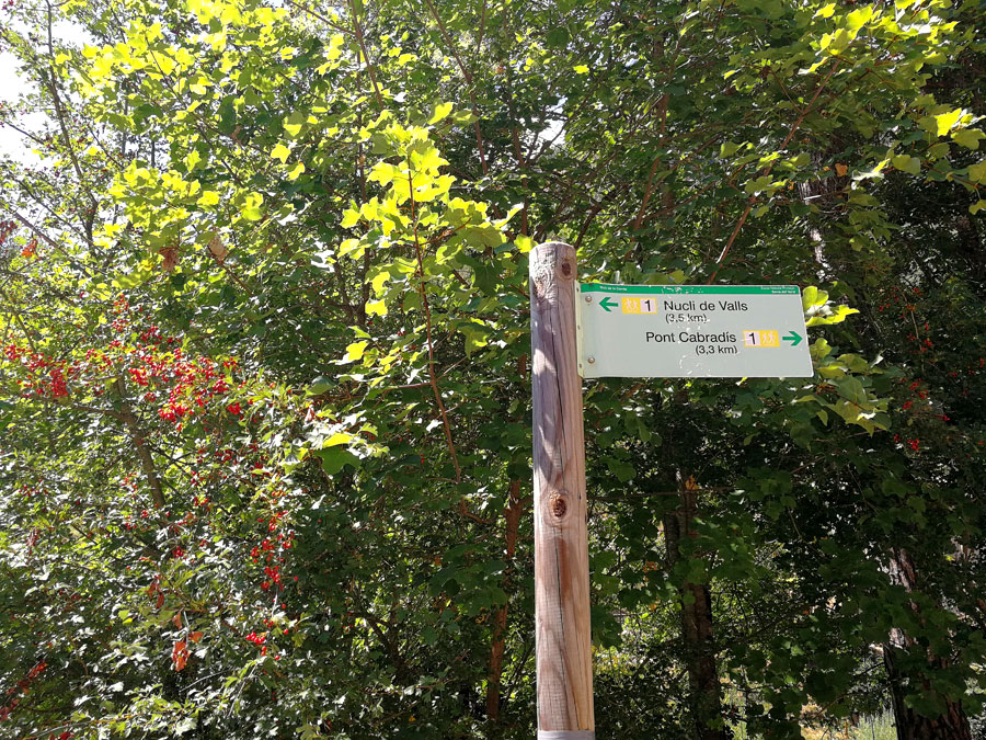 Al pont Cabradís -3,3 km- 