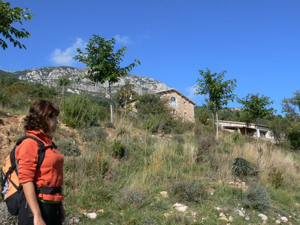 Dejamos la masía arriba y seguimos bajando. En el delgado palo metálico hay la marca de GR-1 