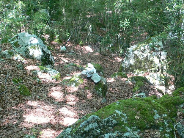 Seguimos en la bajada el camino de la ida indicado con hitos 