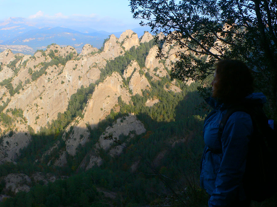 Serra de Busa desde el Cinglat 