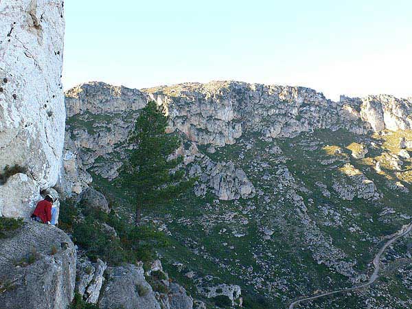 Paso expuesto junto al único árbol que ha resistido a los numerosos incendios 