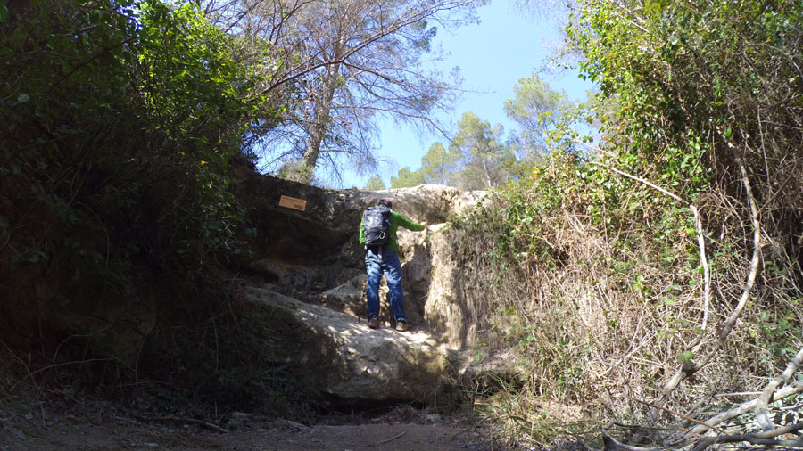 Clavijas en el Saltant de la Madrona 