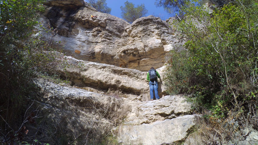 Clavijas en el -Cingle de Sota el Coll- (entre turons) 