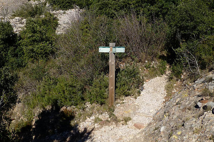 Aquí cogemos el camino de la izquierda 
