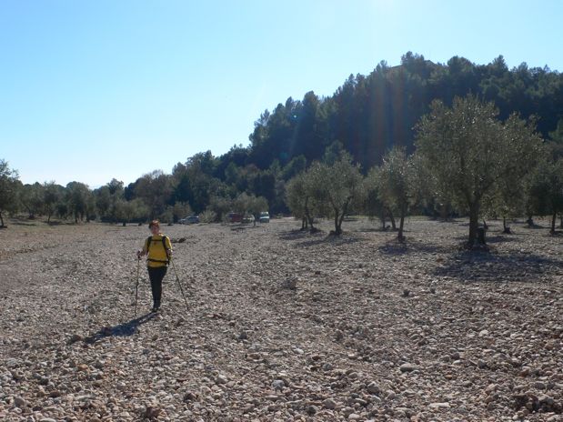 Vista atrás hacia el coche 